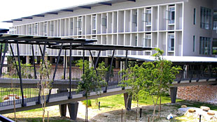 Link Bridge & Lecture Halls