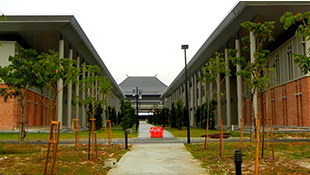 Faculty Buildings