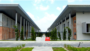 Faculty Buildings